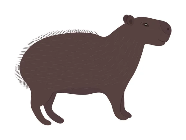 Cute Capybara Brown Illustration — Stock Vector