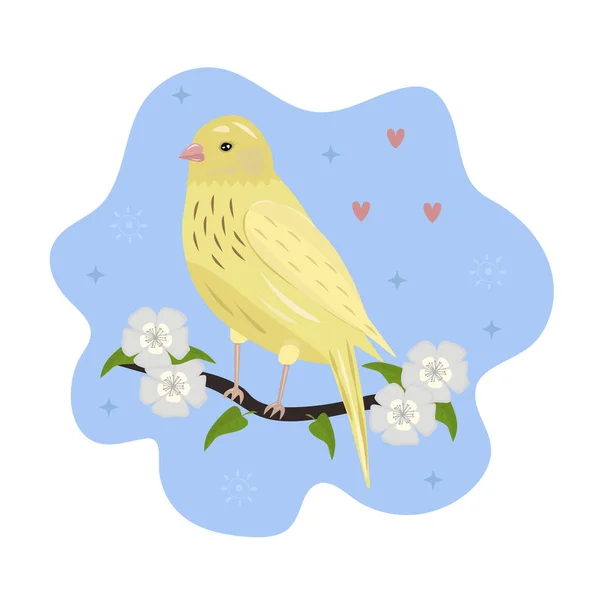 Kanarienvogel Auf Dem Zweig Mit Blumen — Stockvektor