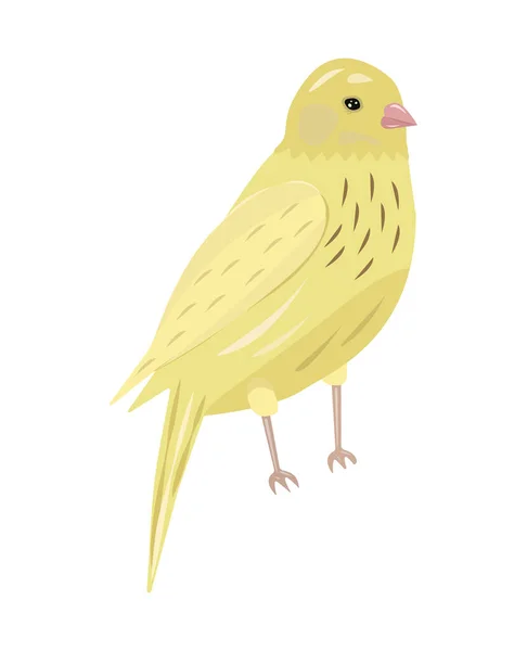 Cute Canary Bird Bright Illustration — Stock Vector