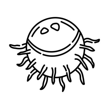 Rambutan siyah ve beyaz vektör çizgisi çizimi