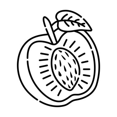 Kayısı siyah ve beyaz vektör çizgisi çizimi