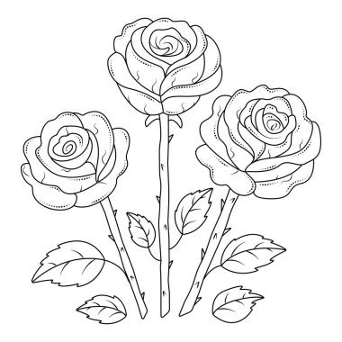 Three black line roses, vector monochrome rose bouquet