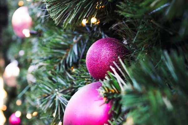 stock image Christmas decorations among the branches of spruce