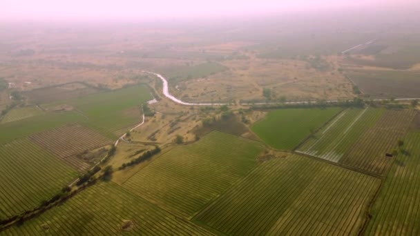 Drone Shora Dolů Zavlažování Farmy Pohled — Stock video