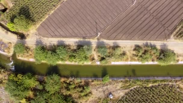 Drone Top Irrigação Fazenda Vista — Vídeo de Stock