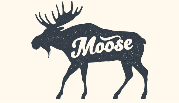 Moose. Lettering, typography. Animal silhouette moose, lettering Moose. Creative graphic design. Vintage poster, drawing, typography banner, hand drawn wild symbol, t-shirt print. Vector Illustration