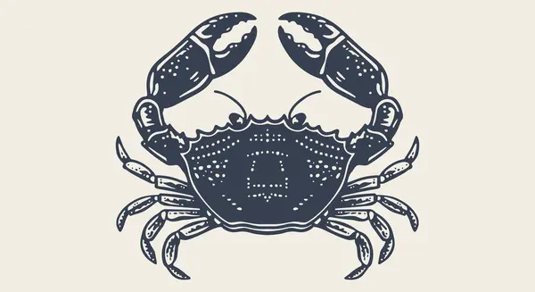 Crab Seafood Sketch Vintage Retro Print Seafood Crab Sketch Sea — Stock Vector