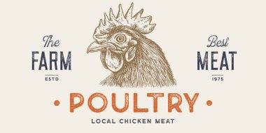 Horoz, tavuk, tavuk kafalı. Antika baskı, horoz eskizi mürekkep kalem stili çizim, eski usul oyma. Çizim çizimi silueti baş horoz tavuğu. Yan görüntü profili. Vektör İllüstrasyonu