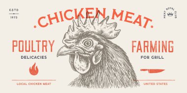 Tavuk, tavuk kafalı. Eski moda baskı, tavuk eskizi mürekkep kalemi tarzı çizim, eski usul oyma. Resim çizimi silueti, baş tavuk, beyaz arka plan. Yan görüntü profili. Vektör İllüstrasyonu