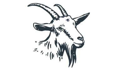 Keçi. Eski moda baskı, siyah beyaz keçi çizimi, çizim mürekkebi, eski usul oyma. Çizim çizimi, boynuzlu siluet keçi. Yan görünüm keçisi. Vektör İllüstrasyonu