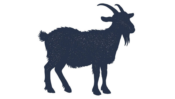 Козел. Силуэт ручной работы. Винтажный ретро-принт, черно-белый козлиный рисунок, рисунок карандашом. Зарисовка силуэта козы. Коза с боковым обзором. Векторная миграция