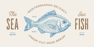 Çipura, balık, Dorado, deniz ürünleri, skeç. Eski model baskı, deniz ürünleri eskizi, logo işareti şablonu, mürekkep kalem çizimi, eski usul oyma. El çizimi balık. Vektör İllüstrasyonu