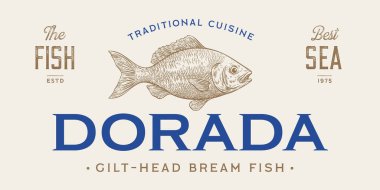 Çipura, balık, Dorado, deniz ürünleri, skeç. Eski model baskı, deniz ürünleri eskizi, logo işareti şablonu, mürekkep kalem çizimi, eski usul oyma. El çizimi balık. Vektör İllüstrasyonu