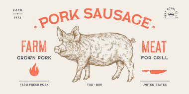 Domuz, domuz, domuz, etiket etiketi. Şablon Etiketi. Klasik baskı, etiket, etiket çiftlik domuzu çizimi mürekkep kalem stili çizim. Kasaplık, domuz çiftliği, et dükkanı, yazı, tipografi. Vektör İllüstrasyonu