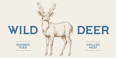 Geyik. El yapımı geyik, geyik, geyik. Eski model baskı, siyah beyaz geyik, geyik, geyik, mürekkep şeklinde çizim, oyma. Çizim çizimi, siluet kafa geyiği, geyik, geyik, geyik. Vektör İllüstrasyonu