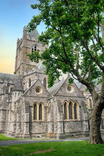 Dublin Deki Kilisesi Katedrali Nin Renkli Manzarası Kutsal Üçleme Katedrali — Stok fotoğraf