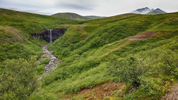 Поездка Исландию Водопад Свартифосс Национальном Парке Скафтафель — стоковое фото