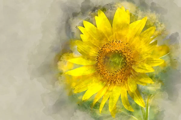 Цифровий Акварельний Малюнок Прекрасного Пейзажного Зображення Соняшника Полі Японія — стокове фото