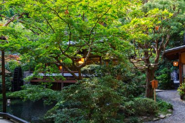 Tokio, Japonya 'daki güzel Japon Bahçesi.