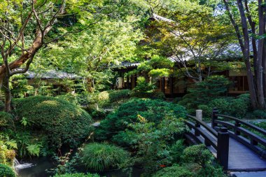 Tokio, Japonya 'da dekoratif köprüsü olan güzel Japon Bahçesi.