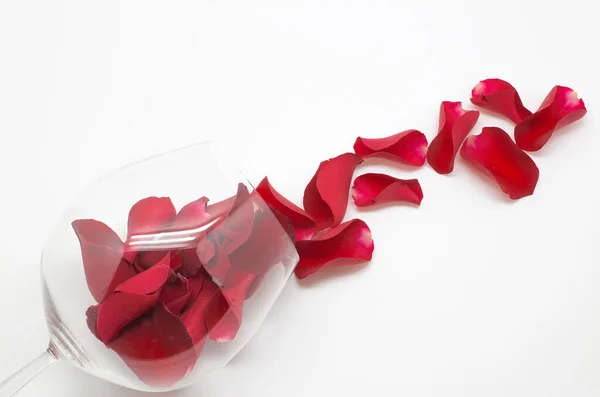 Romantic Background Red Rose Petals Wine Glass White Background —  Fotos de Stock