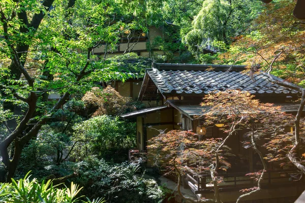東京都の美しい日本庭園 — ストック写真