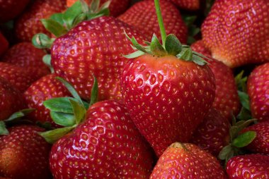 Taze çilek yakın çekim