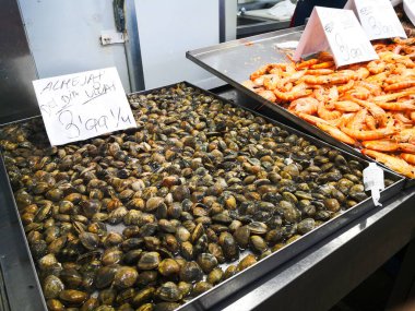 Cadiz, İspanya - 3 Ağustos 2023: Cadiz Balık Pazarı. Cdiz, Endülüs, İspanya 'daki Merkez Pazarı' ndaki çarpıcı taze balık tezgahı. İspanya 'nın en eski kapalı pazarıdır. 