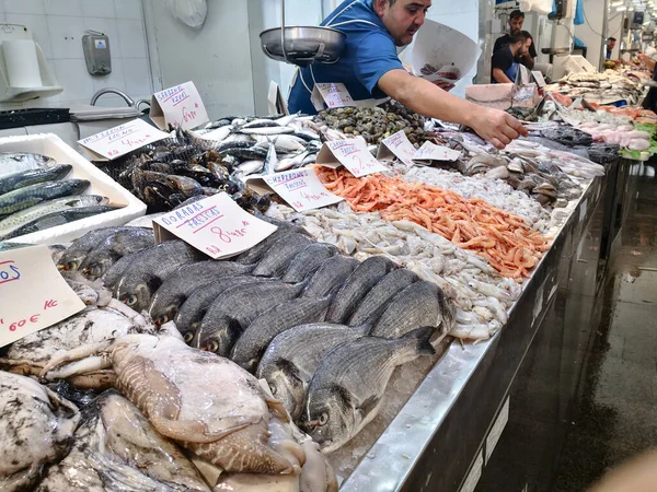 カディス スペイン 2023年8月3日 カディス魚市場 アンダルシア スペインのCdizのセントラルマーケットで素晴らしい新鮮な魚屋 スペイン最古のカバー市場です — ストック写真