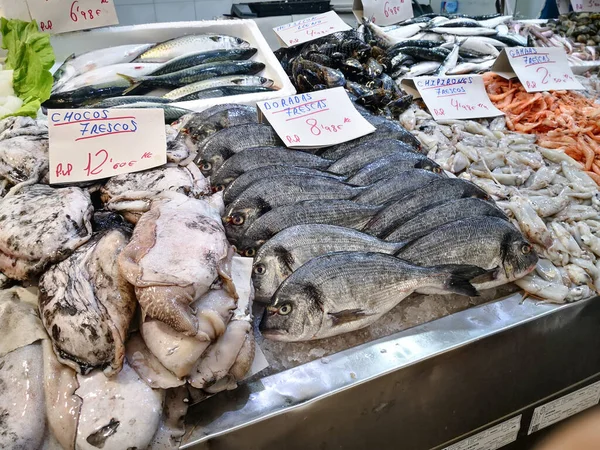 加的斯 西班牙 2023年8月3日 加的斯鱼市场 西班牙安达卢西亚Cdiz中央市场的鲜鱼摊 它是西班牙历史最悠久的保险市场 — 图库照片