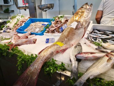 Cadiz, İspanya - 3 Ağustos 2023: Cadiz Balık Pazarı. Cdiz, Endülüs, İspanya 'daki Merkez Pazarı' ndaki çarpıcı taze balık tezgahı. İspanya 'nın en eski kapalı pazarıdır ve Atlantik Okyanusu' nun en taze balık ve deniz ürünlerini sunduğu yerdir..