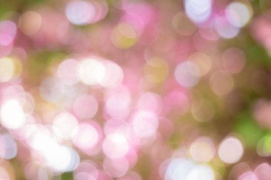 Romantik bir yaz günü rüyası. Soyut arkaplan