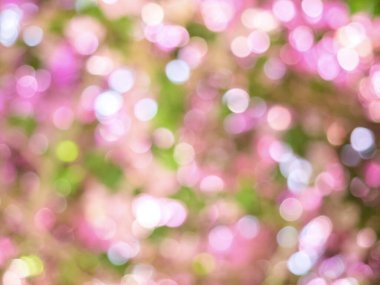 Yaz ışıkları bokeh, güzel parlak arka plan 