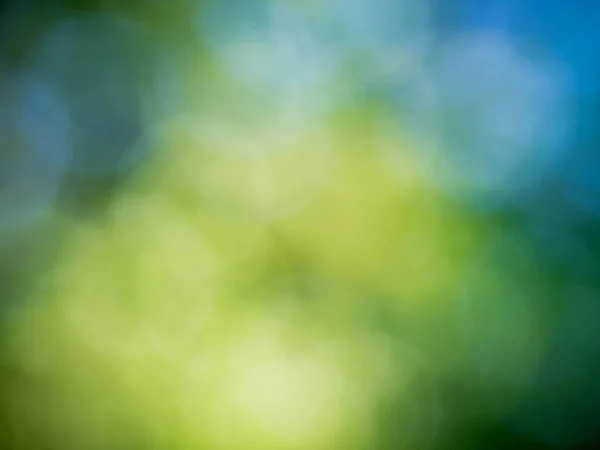 Groen Blauw Bos Achtergrond — Stockfoto