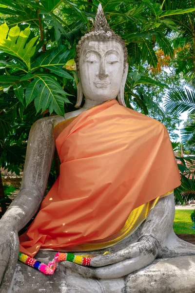 Eski Buda Heykeli Ayutthaya Tarihi Parkı Tayland — Stok fotoğraf