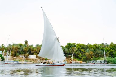 Felucca, geleneksel tahta yelkenli Nil, Mısır 'da.
