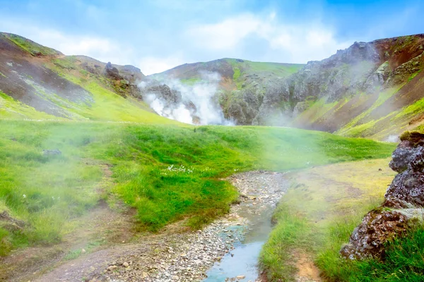 아이슬란드의 계곡은 증기가 흐르는 곳이다 레이캬 계곡이야 아이슬란드 — 스톡 사진