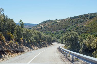 Asfalt yolu ormanı kapladı. Doğal arkaplan