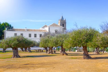 Sevilla eyaleti Estepa 'nın arka planında 100. yüzyıl zeytin ağaçları ve San Francisco de Asis Manastırı bulunmaktadır. Endülüs 'teki büyüleyici beyaz köy. Güney İspanya. İspanya 'da resim gibi bir seyahat yeri.