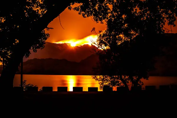 Pożar Lasu Nocny Ogień Lesie Odbiciem Jeziorze — Zdjęcie stockowe