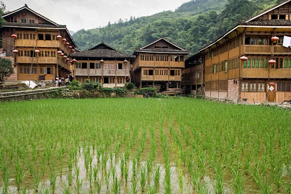 Maisons Traditionnelles Bois Village Tribu Yao Rouge Longsheng Huangluo Yao — Photo
