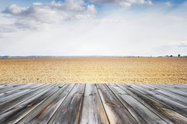 Dekorasyonunuz ve yaz dönemi tarım manzaranız için boş bir masa