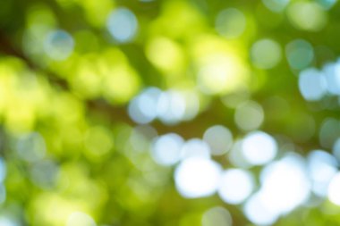 Soyut yay çözünmüş arkaplan. Yeşil bokeh