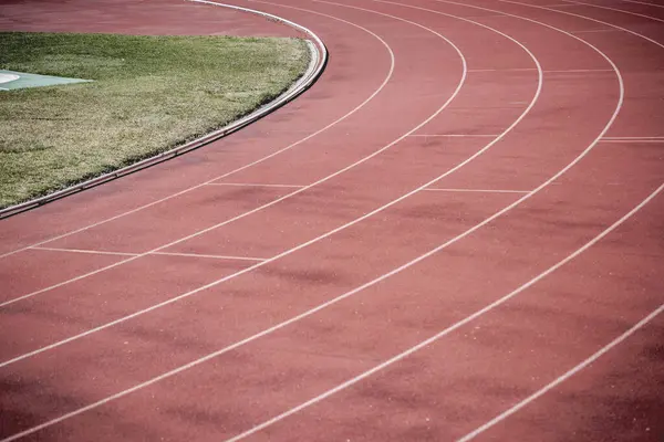 Athlete Track or Running track lines with green grass