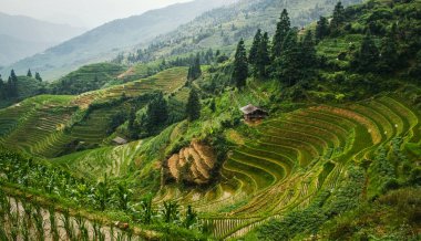 Pirinç terasları ve ev manzarası çok güzel. Longsheng Rice Terasları. Çin