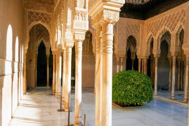 Alhambra Sarayı, Granada, İspanya. Güneş ışığı, Alhambra 'daki bir avlunun karmaşık oyulmuş sütunlarını ve kemerlerini aydınlatır. Arazi sanatının ve İspanyol tarihinin bir vasiyeti.