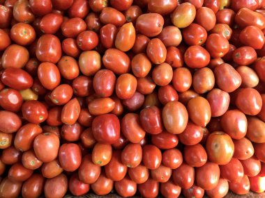 Kırmızı domates. Taze sebze..