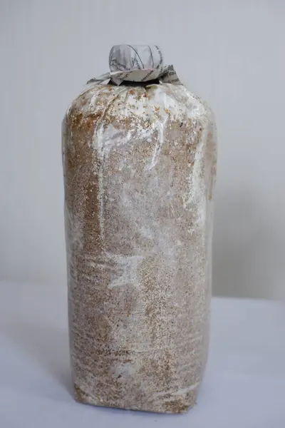 Talaş Üzerine İstiridye Mantarı Ürün Paketleme Tasarımı İçin Uygun