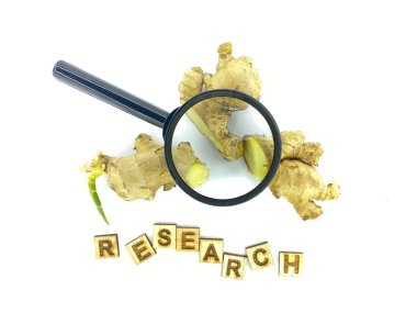 Zingiber officinale (ginger) research highlights its anti-inflammatory, digestive, and nausea-relief benefits, with studies exploring its impact on immunity and pain management clipart