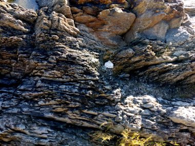 Doğanın güzel manzarası